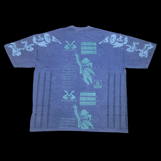 #107 Deep Water Astro (Mineral Wash, 2XL)