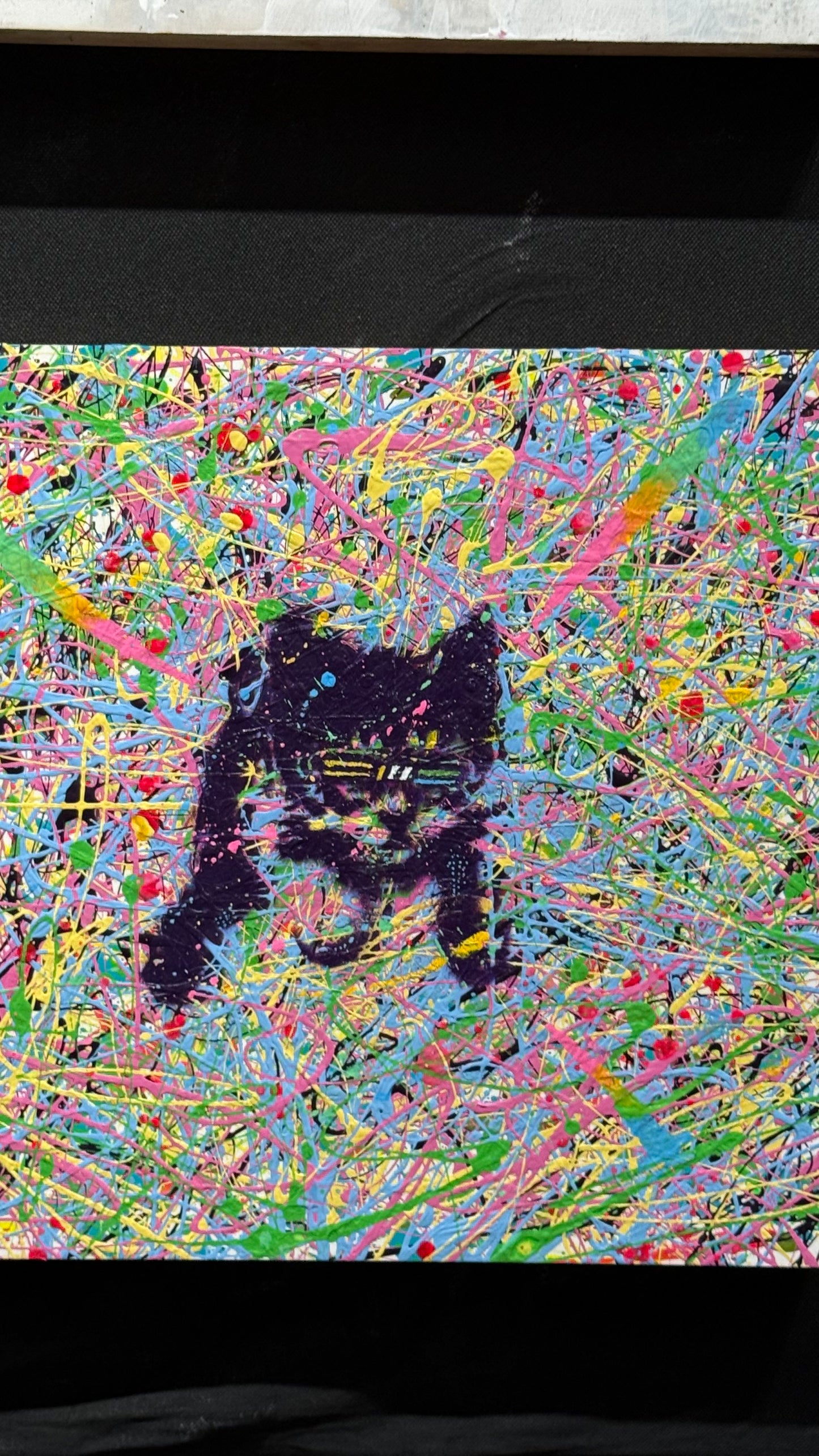 Lasercat portrait 12